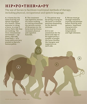 Graphic of how hippotherapy works